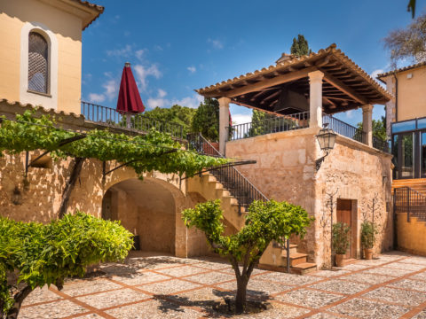 Marc Maurice Doinetwww.primetime-cinematic.comwww.primetime-hotels.com