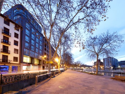 BARCELO BILBAO NERVION