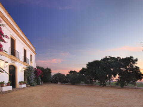 Photograph by Wayne Chasan